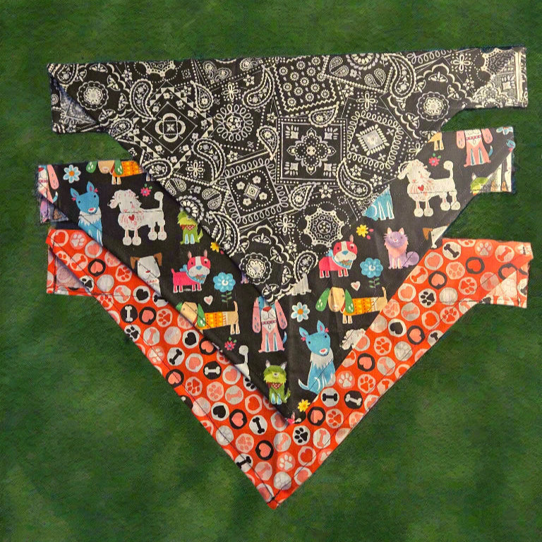 Mystery Dog Collar Bandana – Limited Pre-Order! 🐾🎁