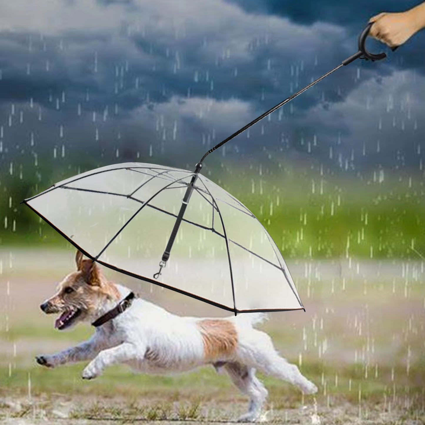 C Shape Handle Pet Dog Umbrella with Leash Transparent Umbrella Adjustable Angle Umbrella for Puppy Dogs Rain Snow Day